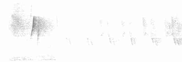 Дроздовый певун - ML619379755