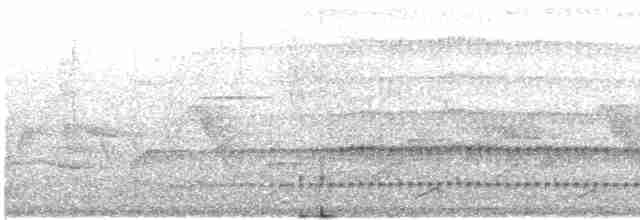 Дятел-смугань сіроголовий - ML619379782