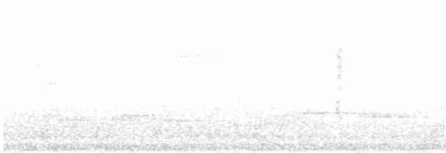 Ortalide de Wagler - ML619379796