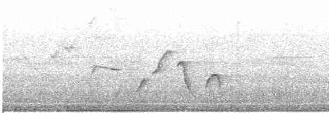 Colibri zémès - ML619379946