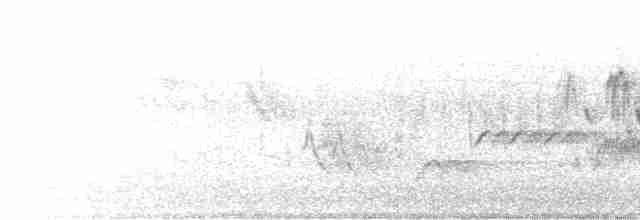 Paruline à gorge orangée - ML619380072
