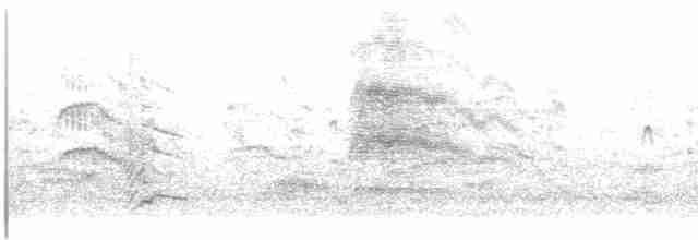 Common Tern - ML619380432