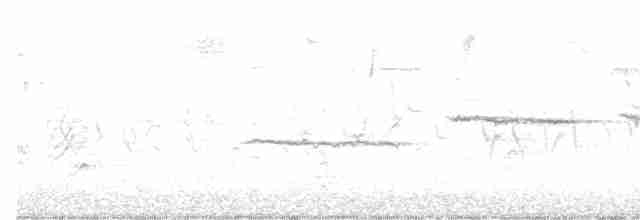 גיבתונית לבנת-גרון - ML619380744