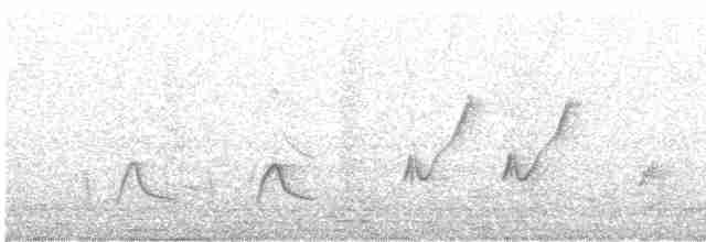Moqueur à bec courbe - ML619380900