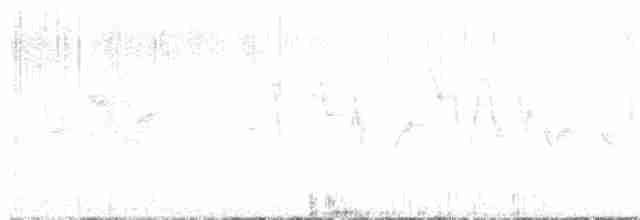 סבכון קנדי - ML619381161