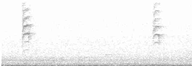 Новозеландская веерохвостка - ML619381341