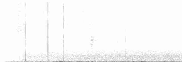 Дрізд-короткодзьоб малий - ML619381435