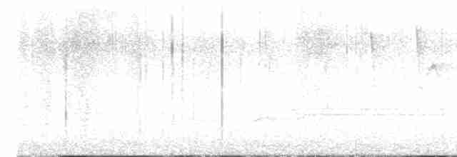 rorýs srpokřídlý - ML619381541