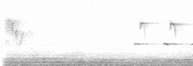 Paruline à croupion jaune - ML619381607