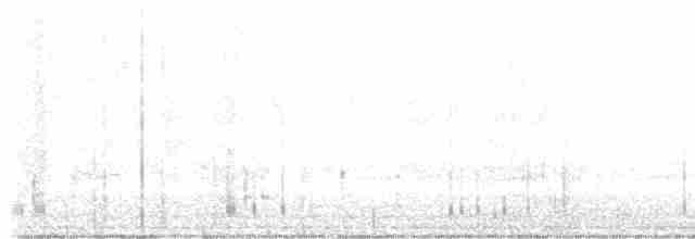 Cerulean Warbler - ML619381816