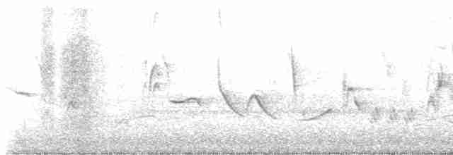 Oriole des vergers - ML619381976