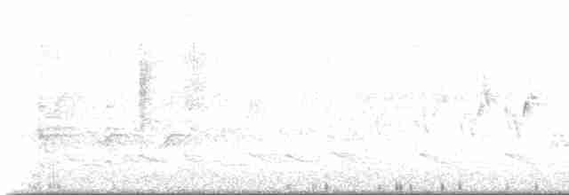 Черногорлая хвойница - ML619382368