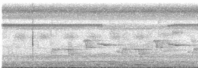 Кустарниковая кукушка - ML619382592