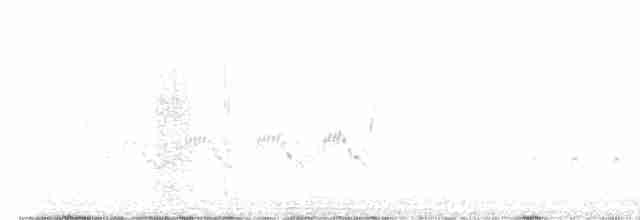 Скальный крапивник - ML619382679