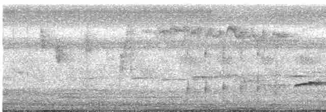 Кустарниковая кукушка - ML619382948
