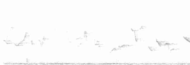 Кропив’янка чорноголова - ML619382968
