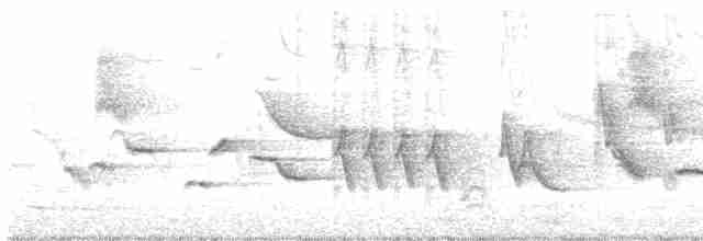 Oriole des vergers - ML619383039
