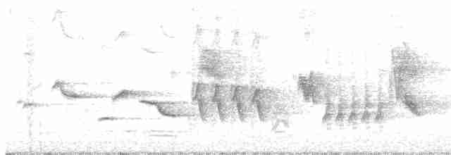 Oriole des vergers - ML619383040