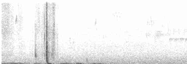 Ev Çıtkuşu [aedon grubu] - ML619383044