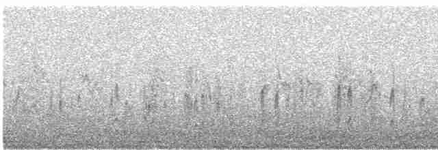 Phalarope à bec étroit - ML619383139
