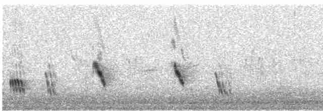 Büyük Mor Kırlangıç - ML619383153