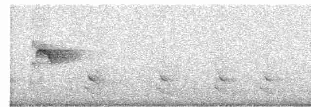 Loriot à capuchon noir - ML619383554