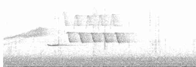 Troglodyte de Bewick - ML619383600