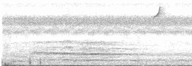 Rabor Çizgili Sığırcığı - ML619385101