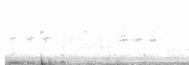 Great Reed Warbler - ML619385119