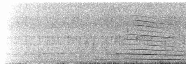 puštík hnědý - ML619385743