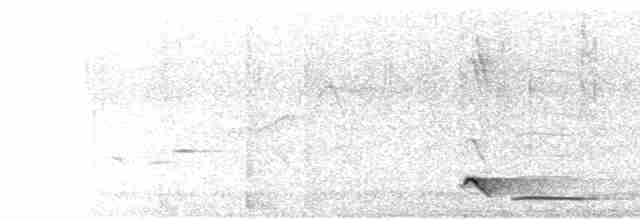 Arborófila de Formosa - ML619385804