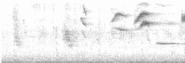 Мухоловка білошия - ML619385982