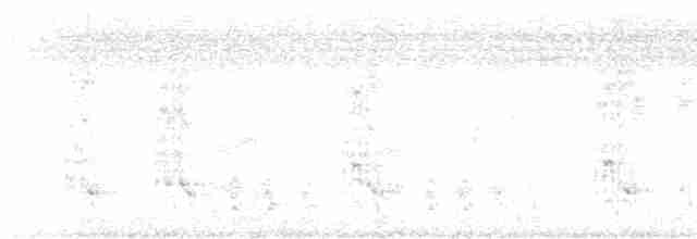 Серый турач - ML619386093