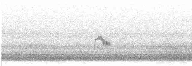 Gri Yanaklı Bülbül Ardıcı - ML619386181