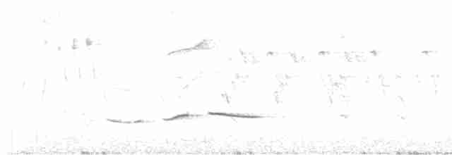 Common Iora - ML619386232