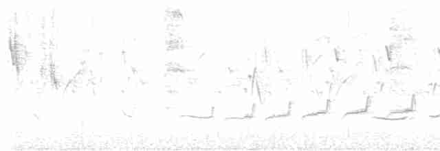 Белобровый личинколов - ML619386248