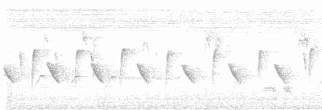 langhaleskredderfugl - ML619386316