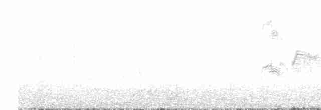 Серпокрилець блідий - ML619386798