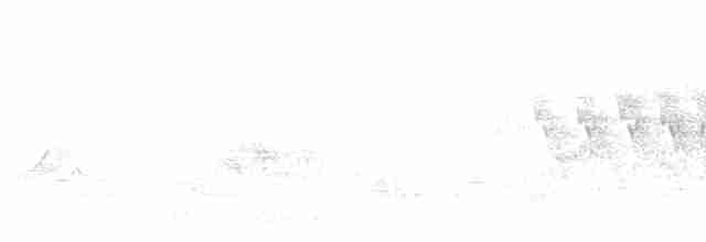 pěnice černohlavá - ML619386946