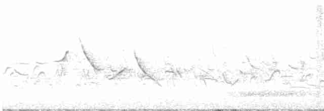 ורדית אירופית - ML619386949