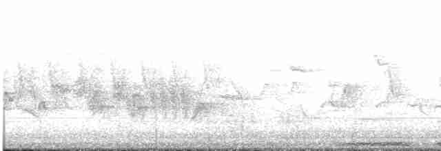 יונת ענק - ML619386971
