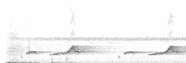Schwarzkehl-Nachtschwalbe - ML619387361