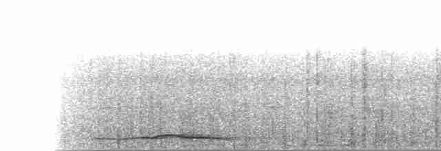 Веракрусская перепелиная горлица - ML619387443