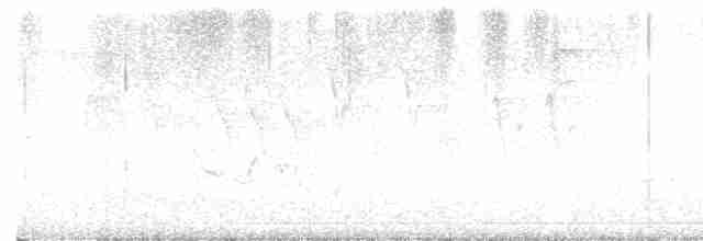 Cerulean Warbler - ML619387455