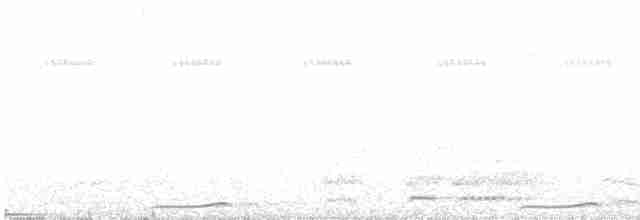 Сова-голконіг далекосхідна - ML619387653