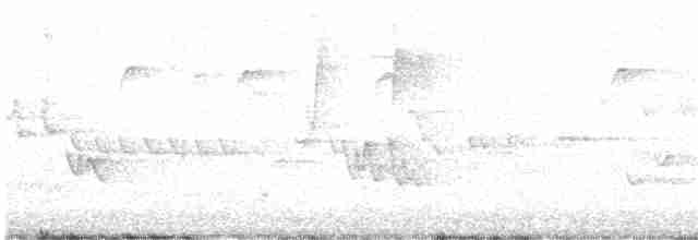 Chochín Hiemal - ML619387825