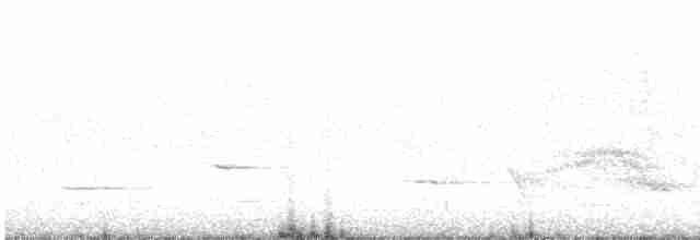 Méliphage carillonneur - ML619387943