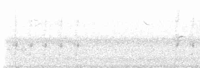 Kırmızı Gagalı Saksağan - ML619388193