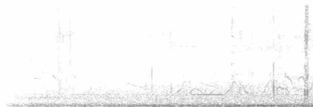 Carolinanachtschwalbe - ML619388243