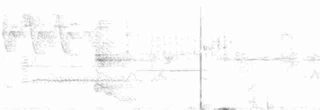 אנפית ירוקה - ML619388518